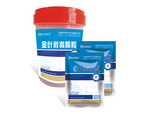 金叶败毒颗粒