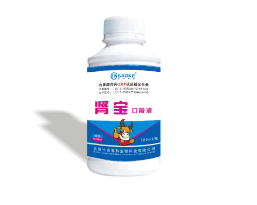 肾宝口服液